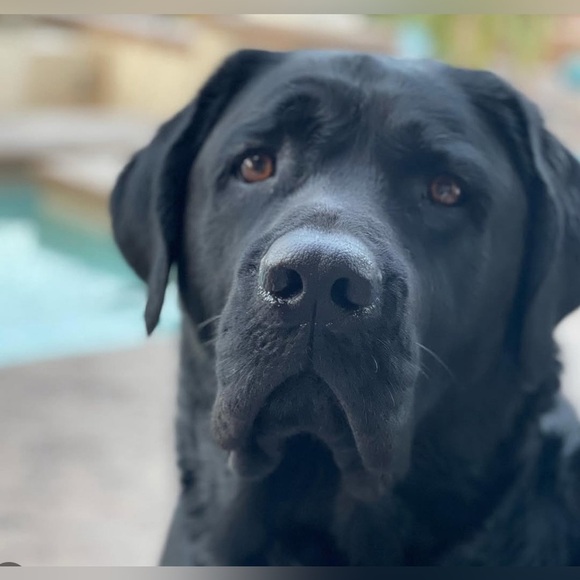 Quick list item - Picture 4 of 7